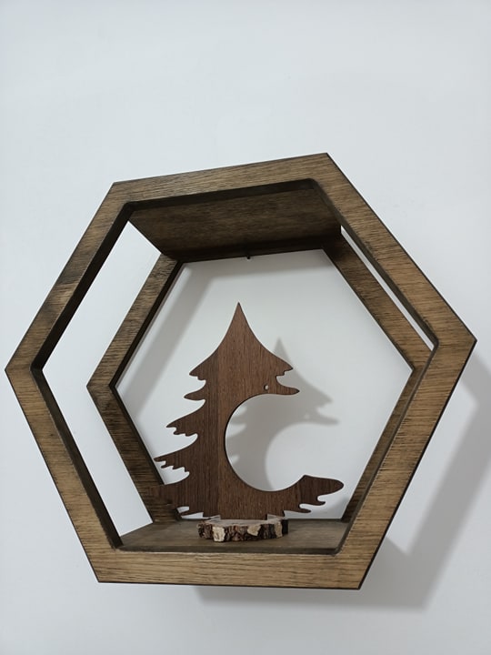 Raft hexagonal de perete. LICHIDARE DE STOC!